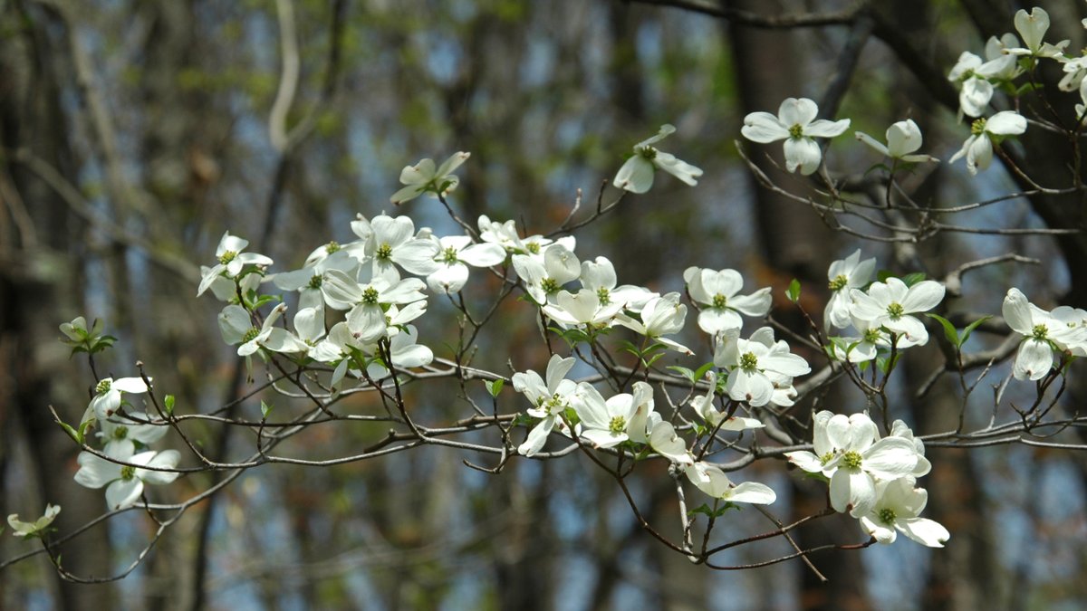 Ernst Seeds tweet media