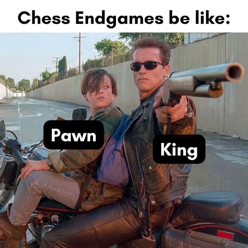 GMIgorSmirnov's tweet image. Do you study endgames?