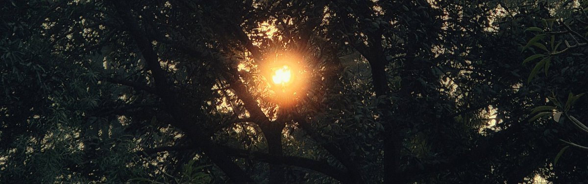 Tue, 20 jan : a slow life