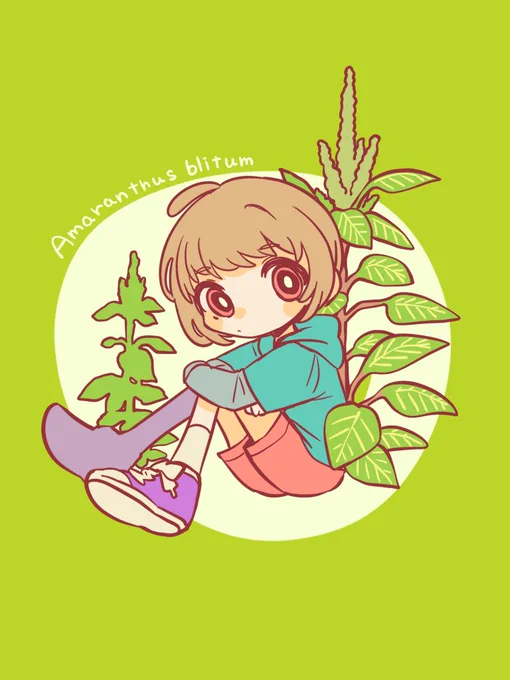 #365日植物イラスト イヌビユ