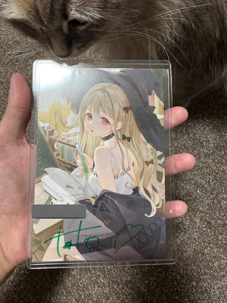kaworu6Q's tweet photo. うおーーー！

ととちのポスカ届いた、はっぴー🔫🐥

 #小雀とと
 #ぶいすぽ https://t.co/1NvRKxGk5D