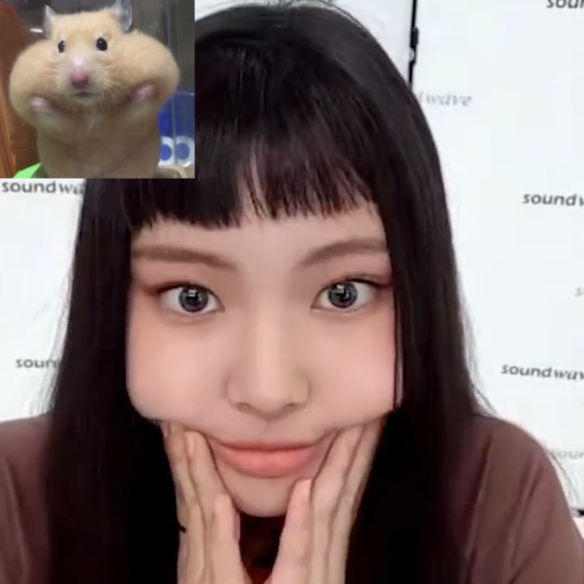 current1214's tweet image. 혠토리(꾸이)