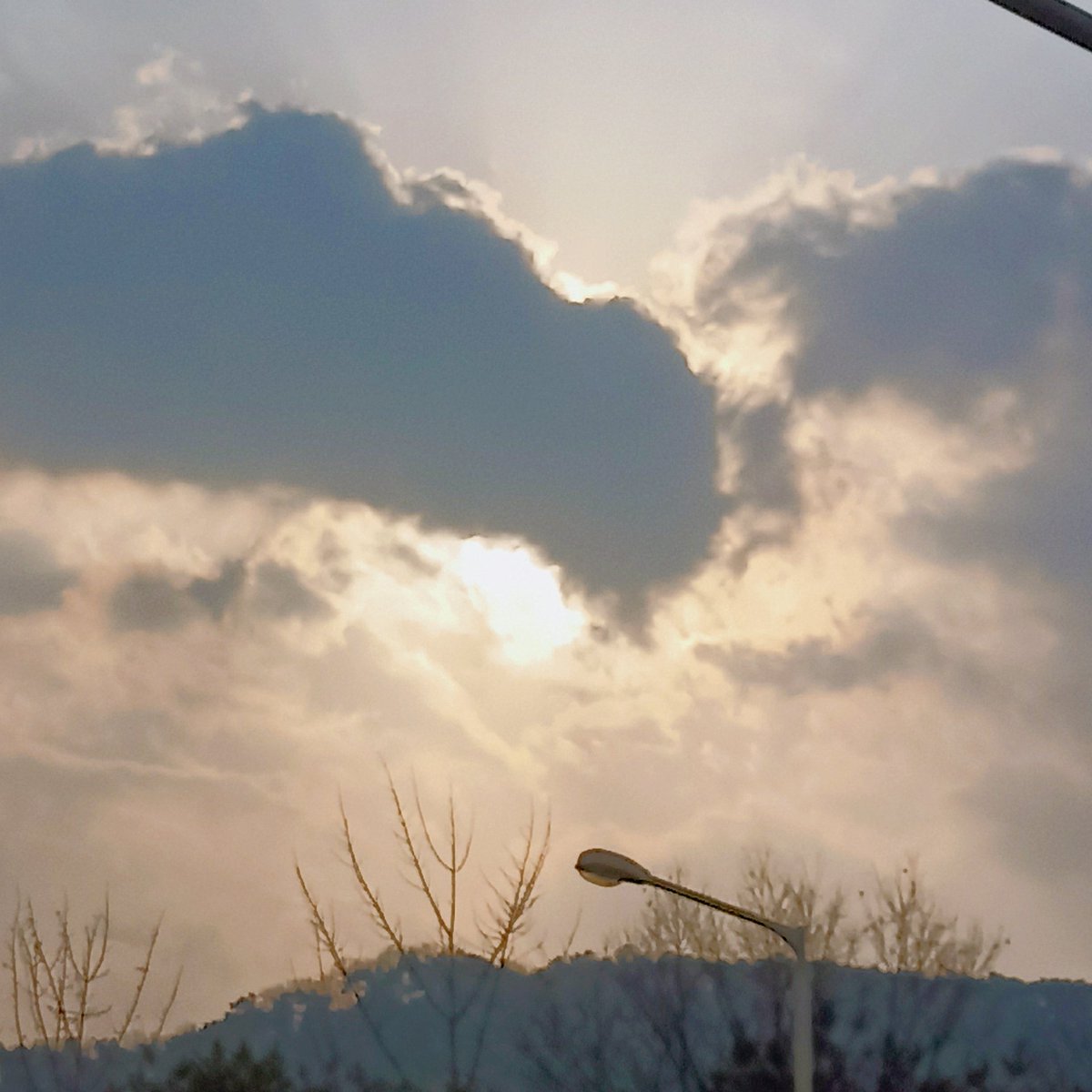 chorock00's tweet image. 이제 블루레이디 빠르게 보셔볼게요 탐라에 보이면 알티, 맘찍 하러 댕겨요 컴온 컴온☘️☘️
#블루레이디 #블루레이디_트친소