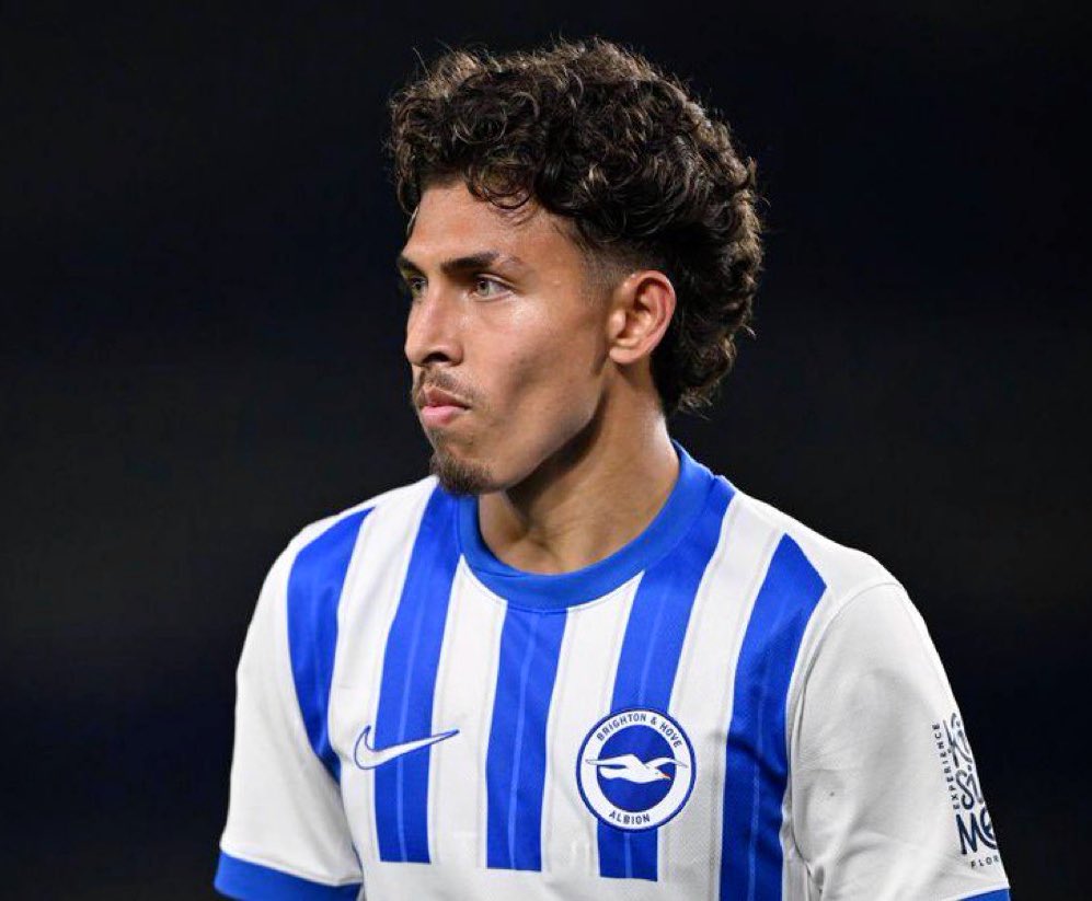 Brighton Bubble tweet media