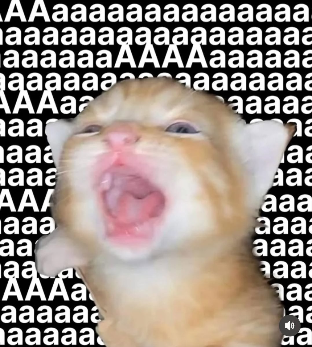 Catsillyness's tweet image. Back to work/school