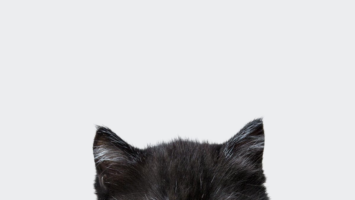 GMMTV's tweet image. ตั้งแจ้งเตือนไว้เลย 20:30 น. มาเจอกันใน #CatForCashEP1 คืนนี้ตอนแรก! 😽 สปอยล์นิดนึงว่ามวลดีมาก อิ่มเอมหัวใจ ไม่อยากให้พลาดกันจริง ๆ! 

เปิดช่อง GMM25 และแอปพลิเคชั่น True Visions NOW รอไว้เลย!
@Firstkpp @myktnw