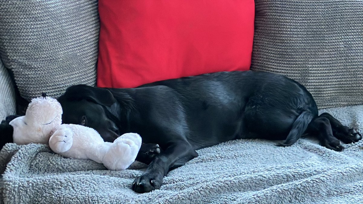 Adam Blackmore tweet media