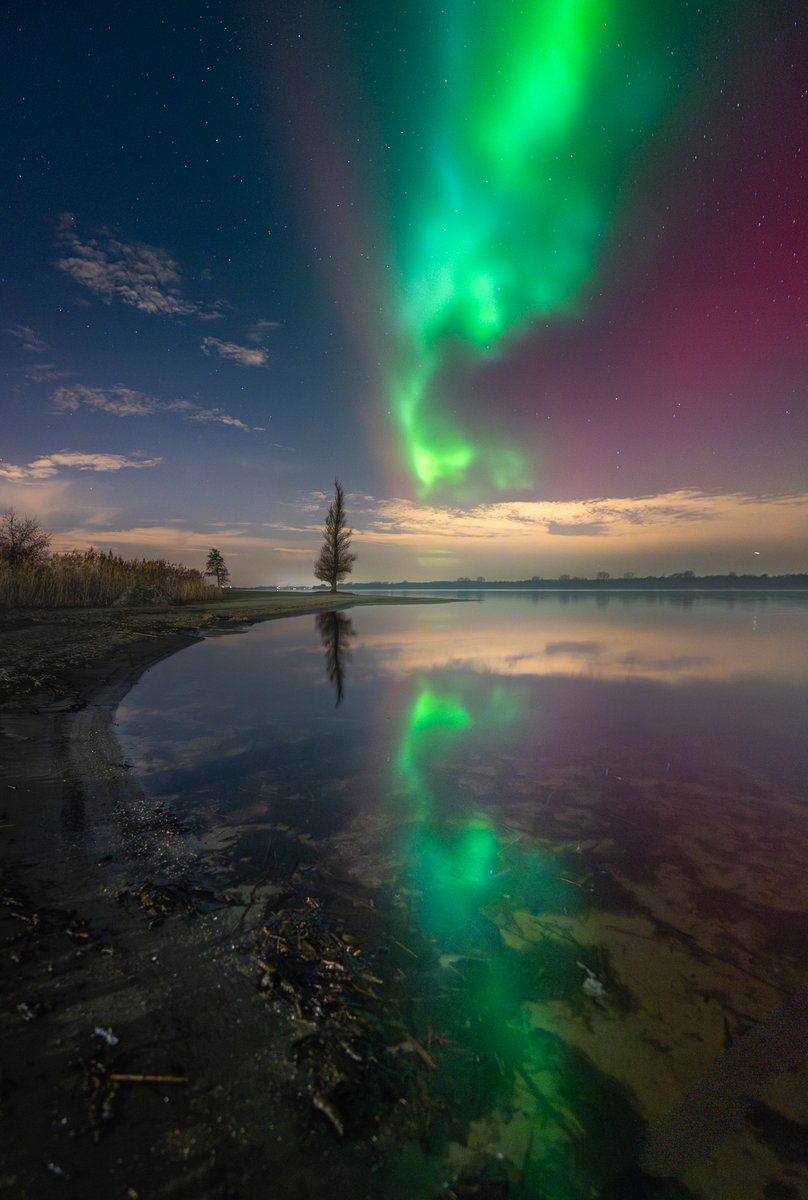 albertdrosphoto's tweet image. absolutely insane aurora in the Netherlands last evening. Taken Just 10 minutes from my house