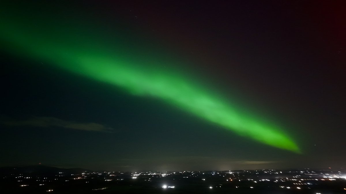 Alan O'Reilly tweet media