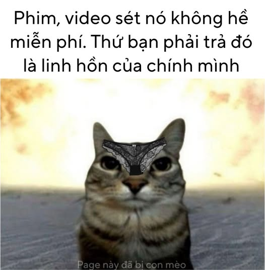lét connect ae 
follow chéo thoai ...