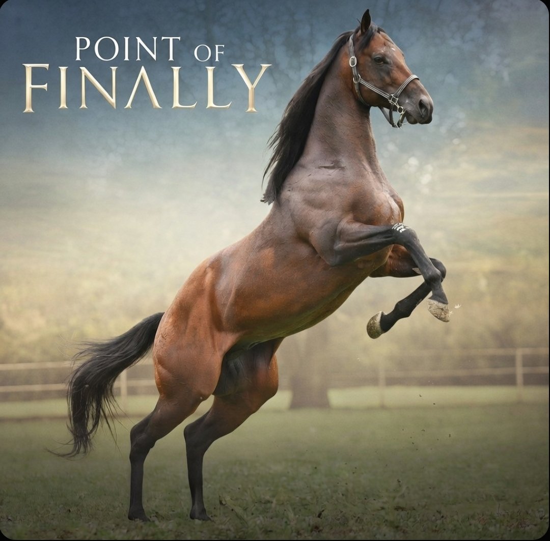 pointoffinally's tweet image. 