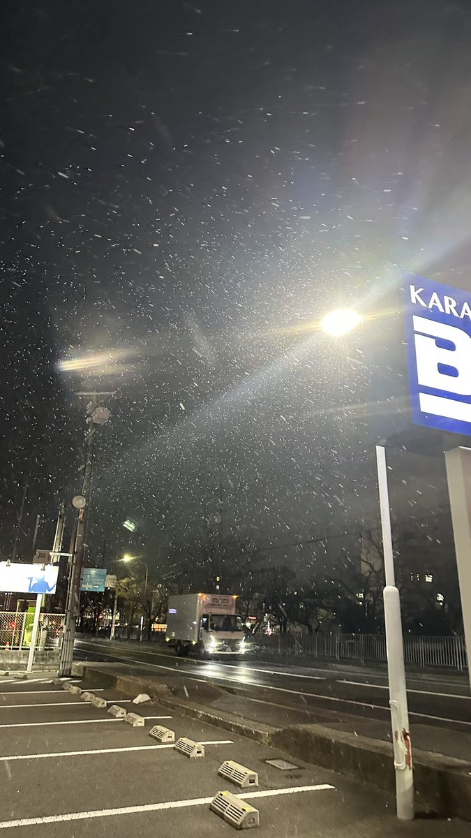 NMely_'s tweet photo. @rairai_832 降ってる https://t.co/VwbCATfcQ1