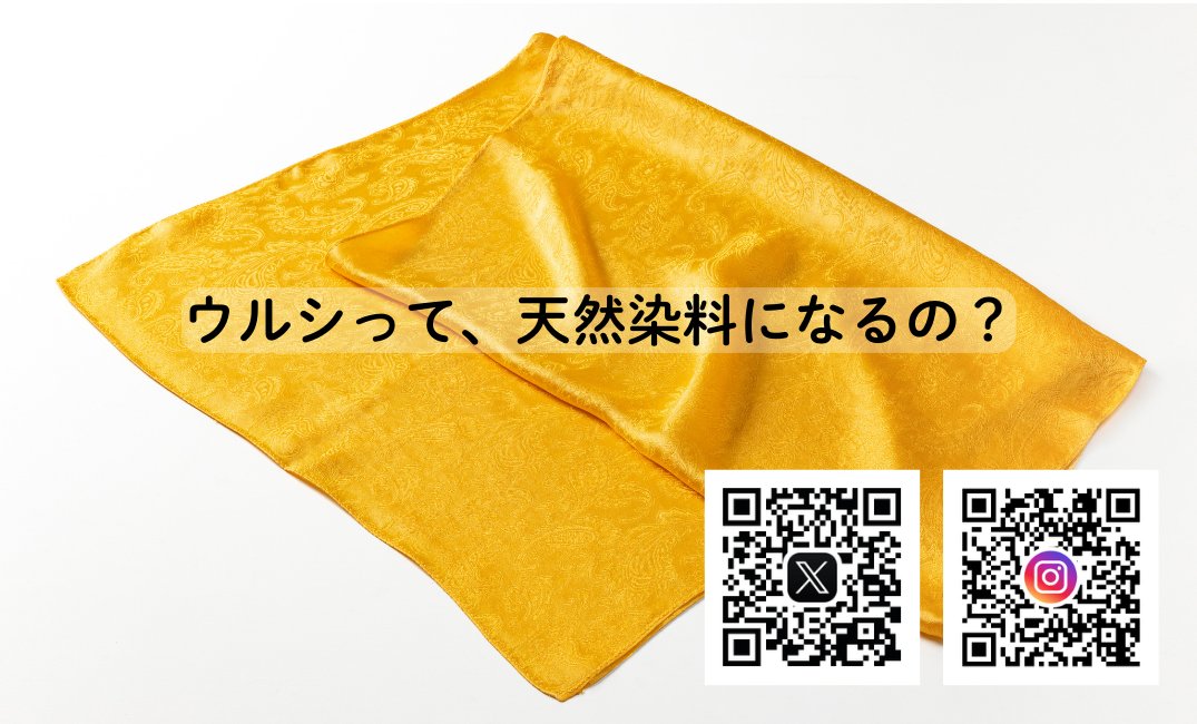 事業の将来を考えることがあって、
「スモールジャイアント型ビジネス」
漆染めの目指す形はこれです！
ニッチ分野で大きな社会的貢献をしていく。

スタートアップや上場に憧れましたが、AIに「やめとけっ！」と言われた。挑戦したいが…