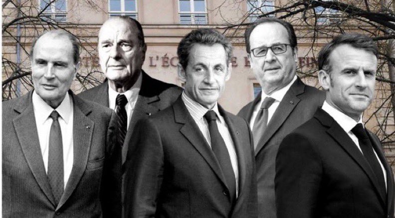 Wolf 🐺 tweet media