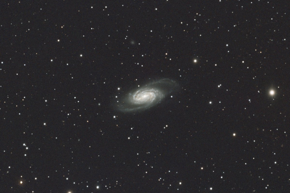 hige_photos's tweet image. しし座の渦巻銀河（NGC2903）
仕事終わって奥多摩湖へ。
時々人が来ては「星がきれい」と楽しんでて羨ましかった。
もう奥多摩あたりでは満足できないｗ
#astrography