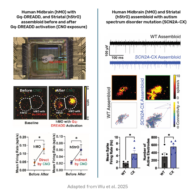 3Brain AG tweet media