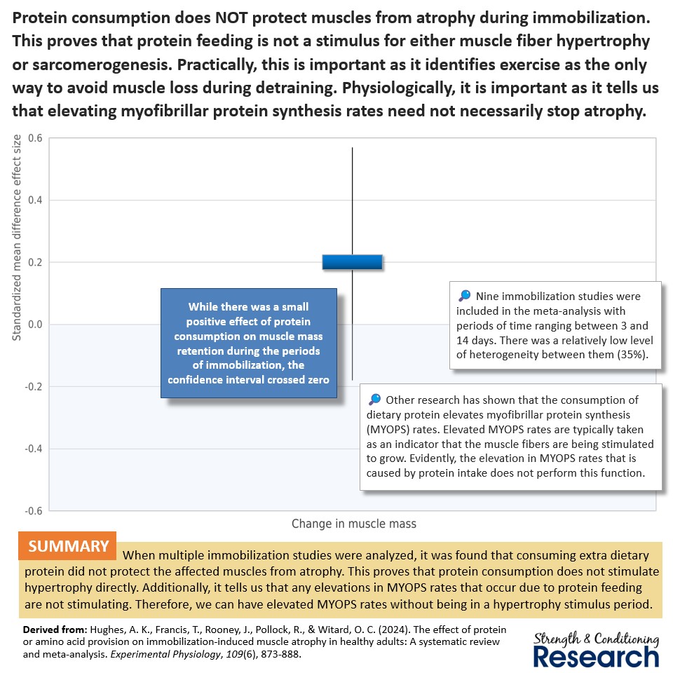 SandCResearch's tweet photo. Protein consumption definitely does not cause hypertrophy without an exercise stimulus, just in case there was ever any doubt. https://t.co/LAg3oDjUrN