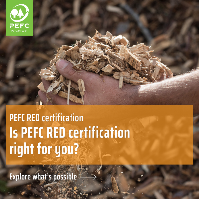 PEFC International tweet media