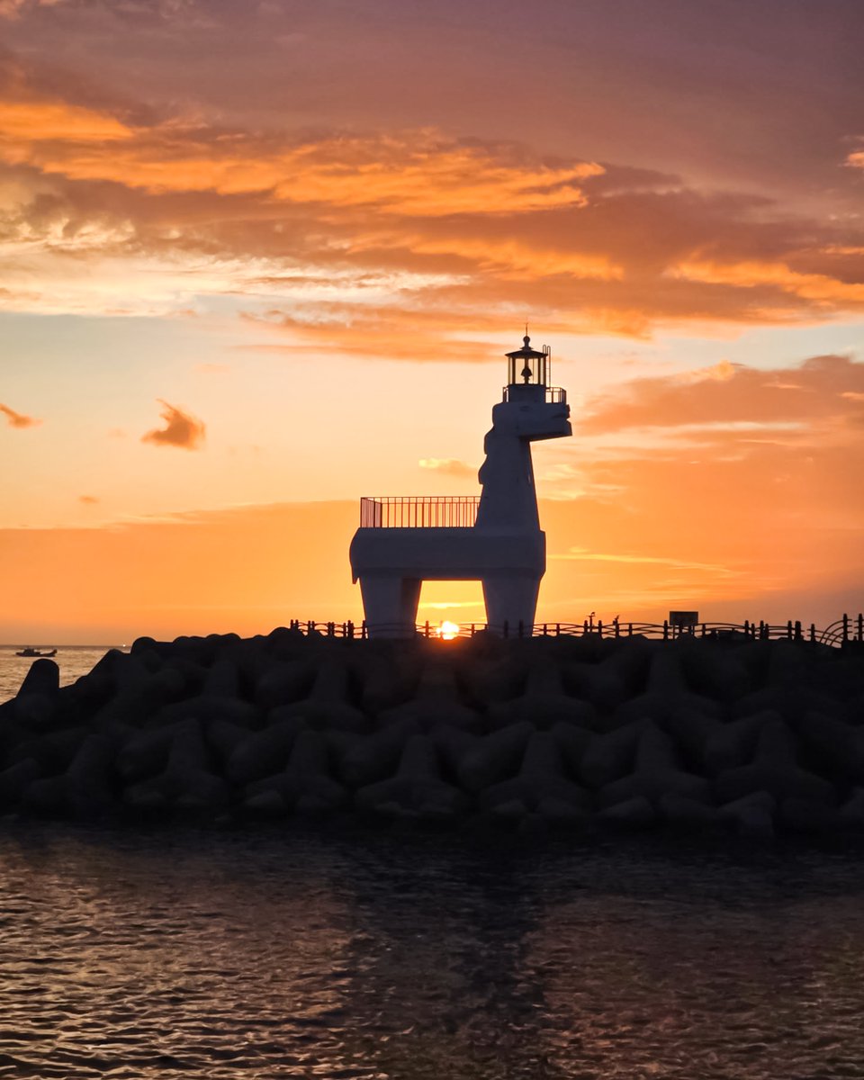 제주의 노을이 오고 있다는 표현은 너무 수동적임.
내가 귤빛 제주 노을에게로 간다 🍊🧡