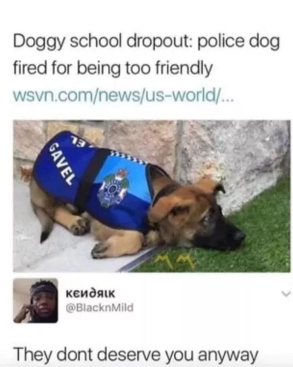Memedroid's tweet image. no problem doggo you are loved #dog #memes #friendly #wholesome #funny