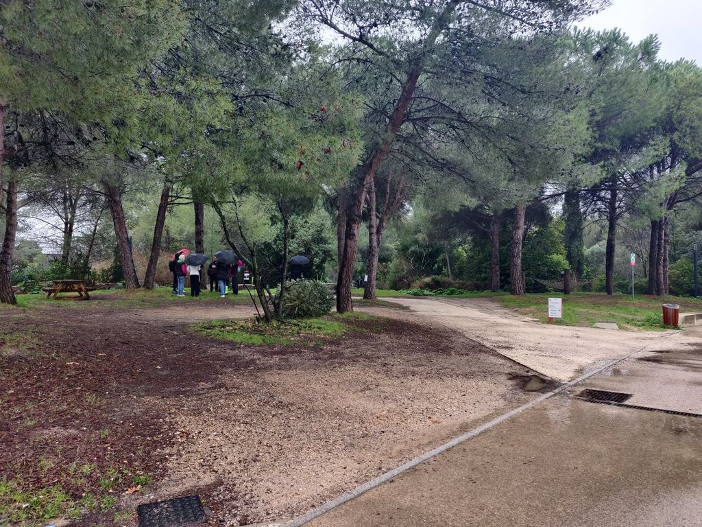 Sunny Tech tweet media