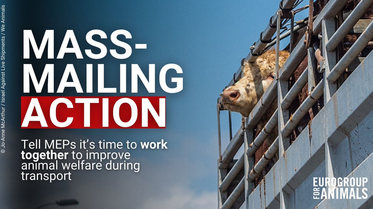 Eurogroup For Animals tweet media