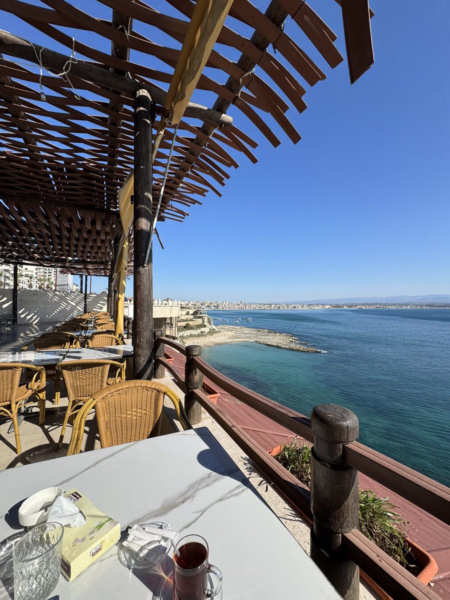 le géant syrien 🇵🇸🇸🇾🩺 tweet media