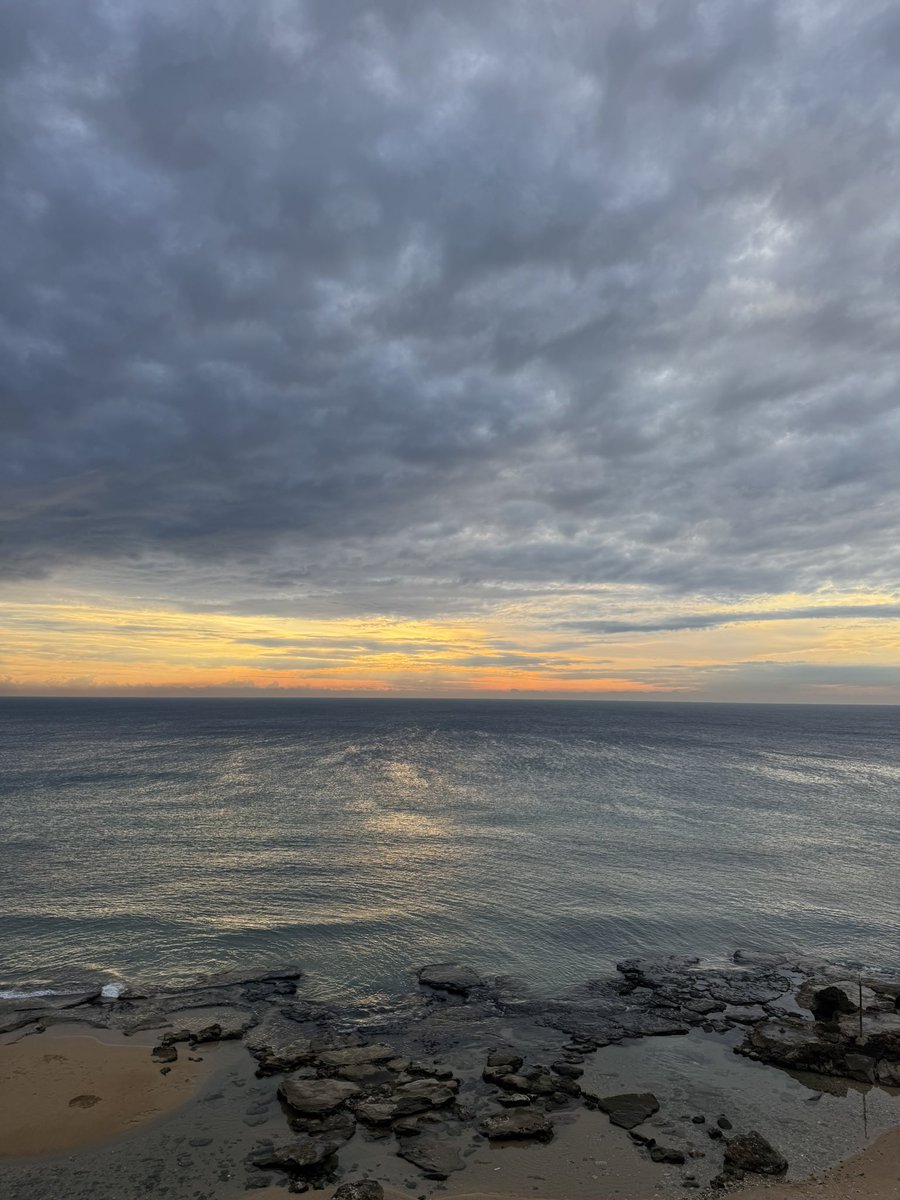 le géant syrien 🇵🇸🇸🇾🩺 tweet media