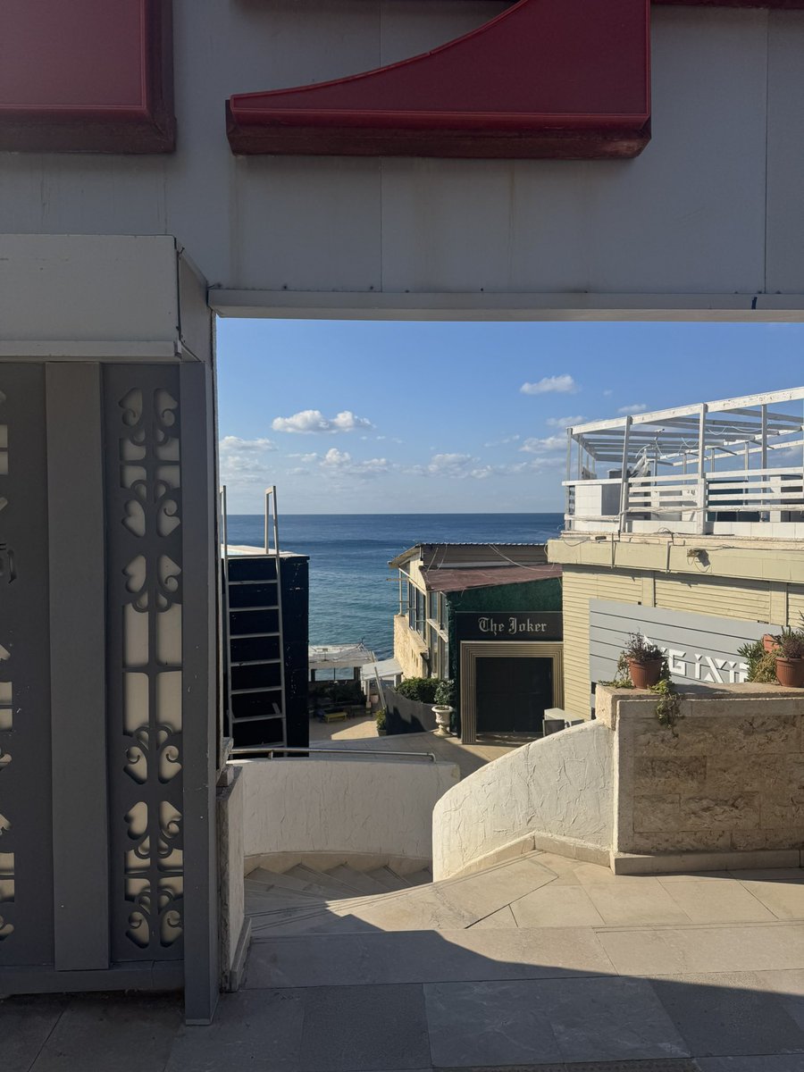 le géant syrien 🇵🇸🇸🇾🩺 tweet media