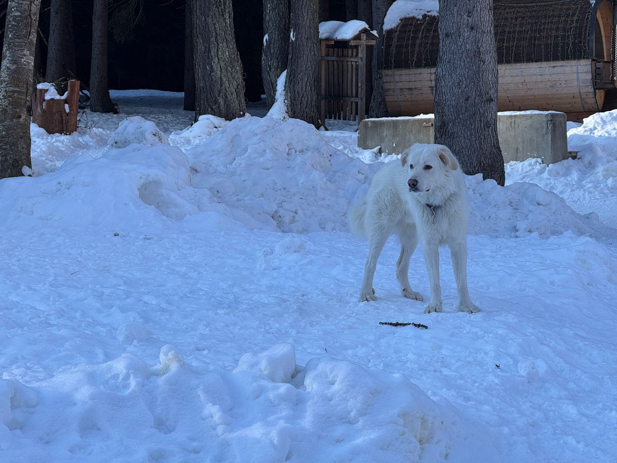 Simon Patterson tweet media