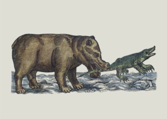 IMF-CSIC tweet media