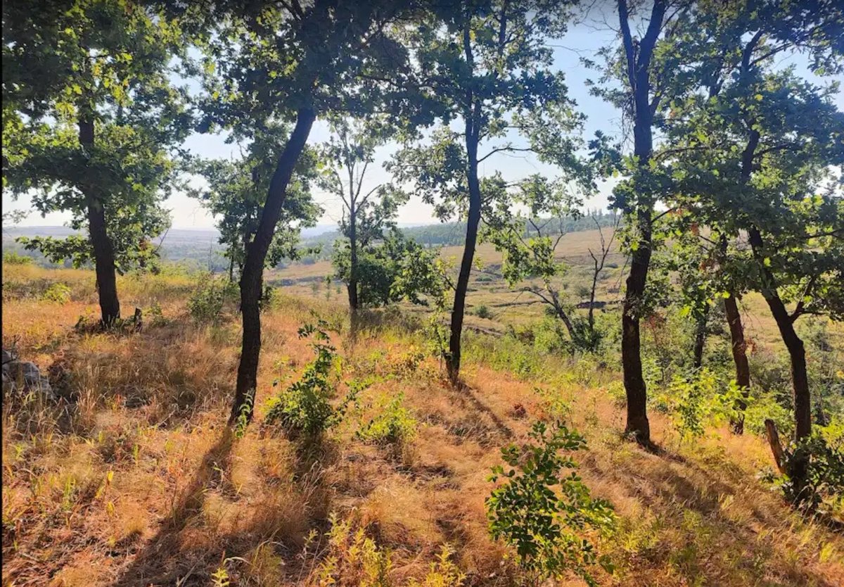 fineod's tweet photo. You walk into a place that looks fine.
No damage. No warning signs.
That’s often when people stop observing.
In conflict &amp; post-conflict areas, risk rarely announces itself — it blends in.
👉 What would make you pause in a situation that otherwise feels normal? https://t.co/CJ6uBf6R9r