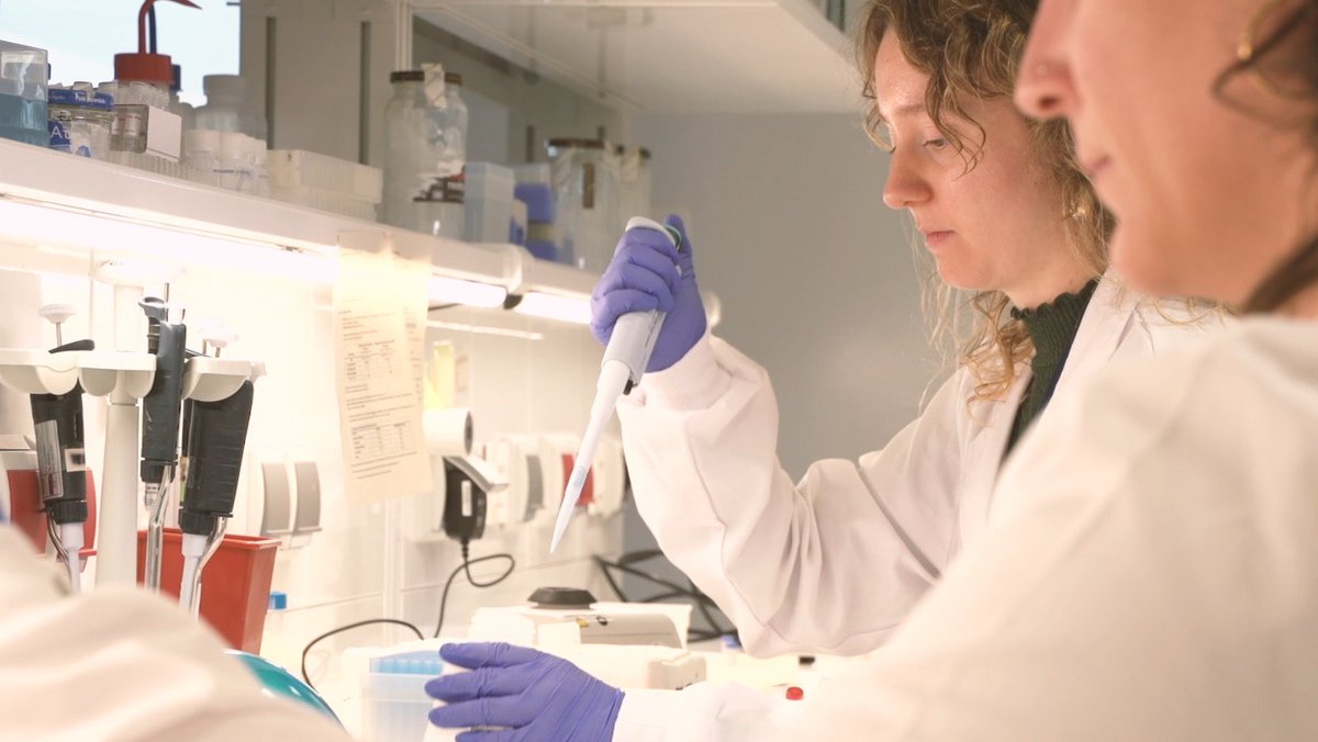 IDIBGI Institut d'Investigació Biomèdica de Girona tweet media