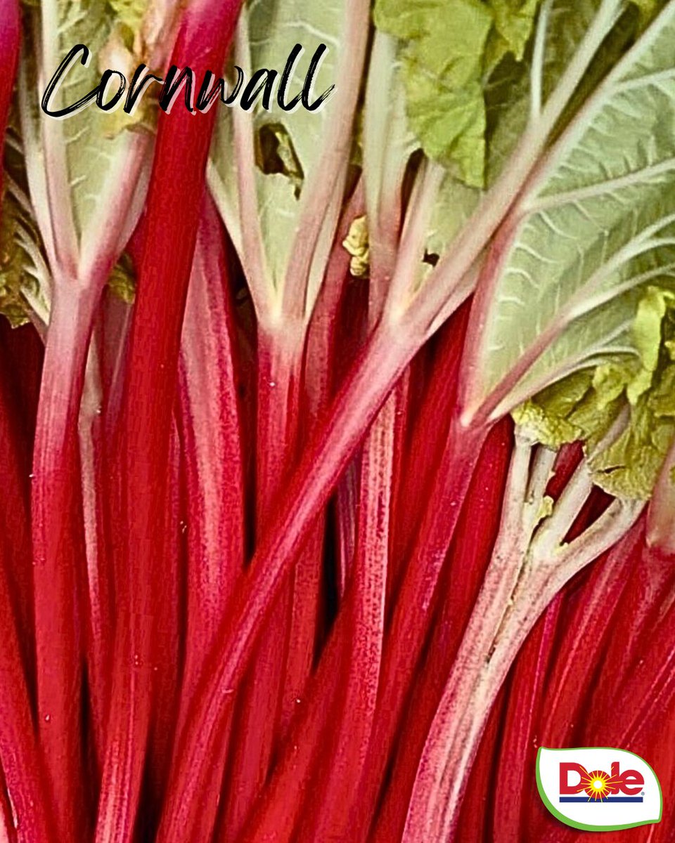 Check out this *stunning* Rhubarb arriving at Dole Foodservice Cornwall &amp; Edinburgh this week! 

Make sure you contact your local delivery depot for prices, availability &amp; to place an order 👏 

#NewSeason #Rhubarb #Deliveryservice