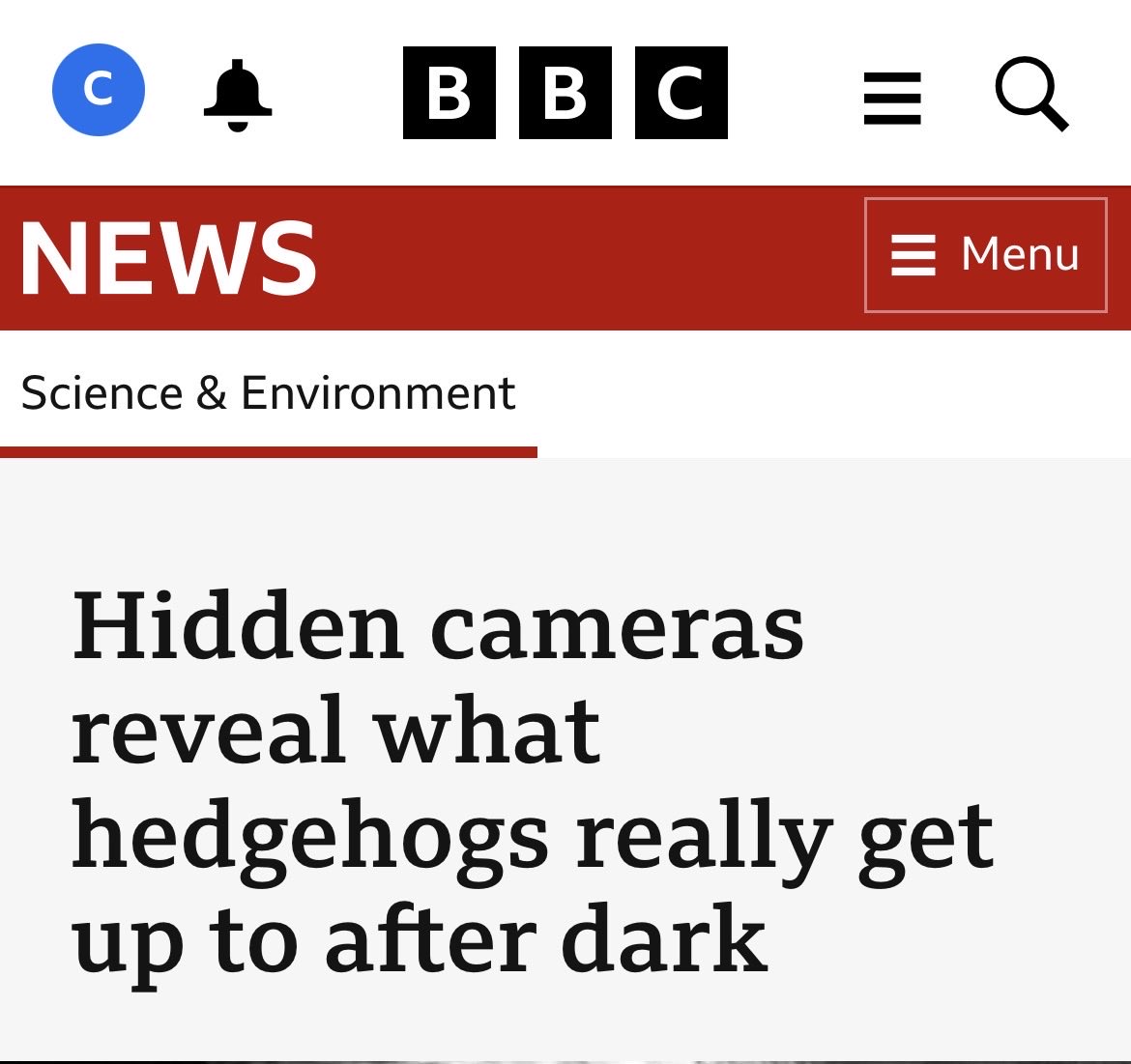 Kit Chellel tweet media