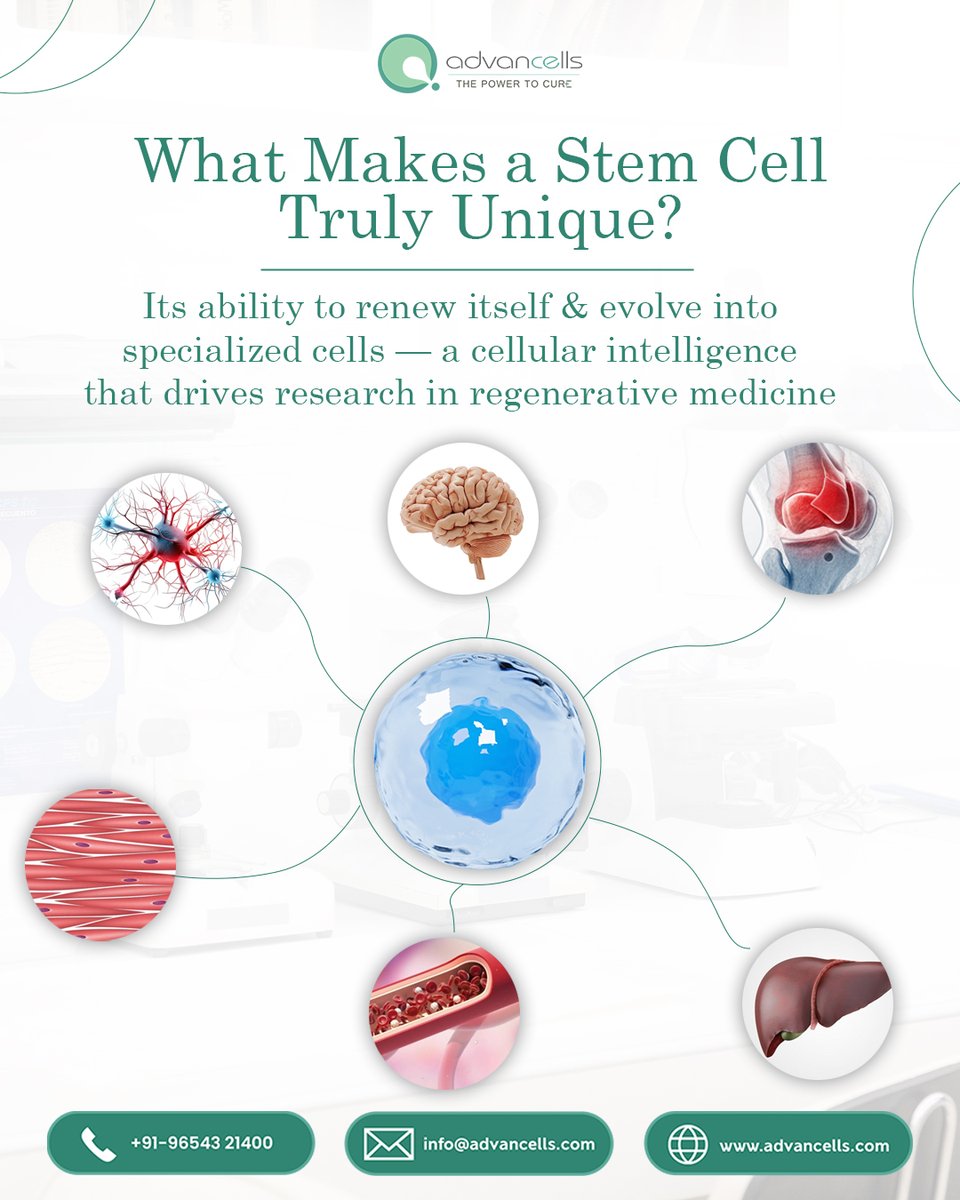 #StemCells are unique because they can self-renew and differentiate into specialized cell types.
This ability makes them essential tools for scientific research — helping us understand development, disease mechanisms, and cellular behavior.

#cellscience #regenerativemedicine
