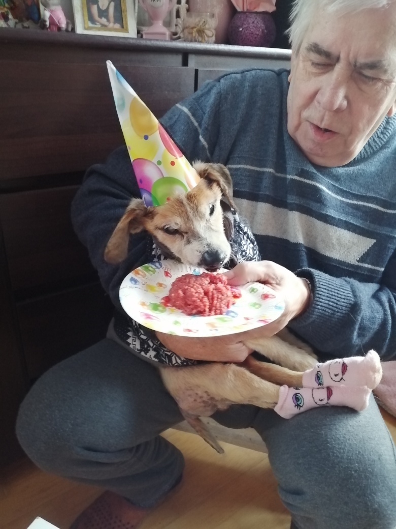 MariaAn63751239's tweet photo. Dzisiaj mija dokładnie rok kiedy do naszej gromadki dołączył Stafik. Początki były trudne ale dzisiaj Stafik jest cudownym grzecznym pieskiem kochającym swojego małego braciszka Bakcylka. Dobrze, że jesteś z nami 🎈🎊🎂🐶❤️ https://t.co/0f1aozo8vB