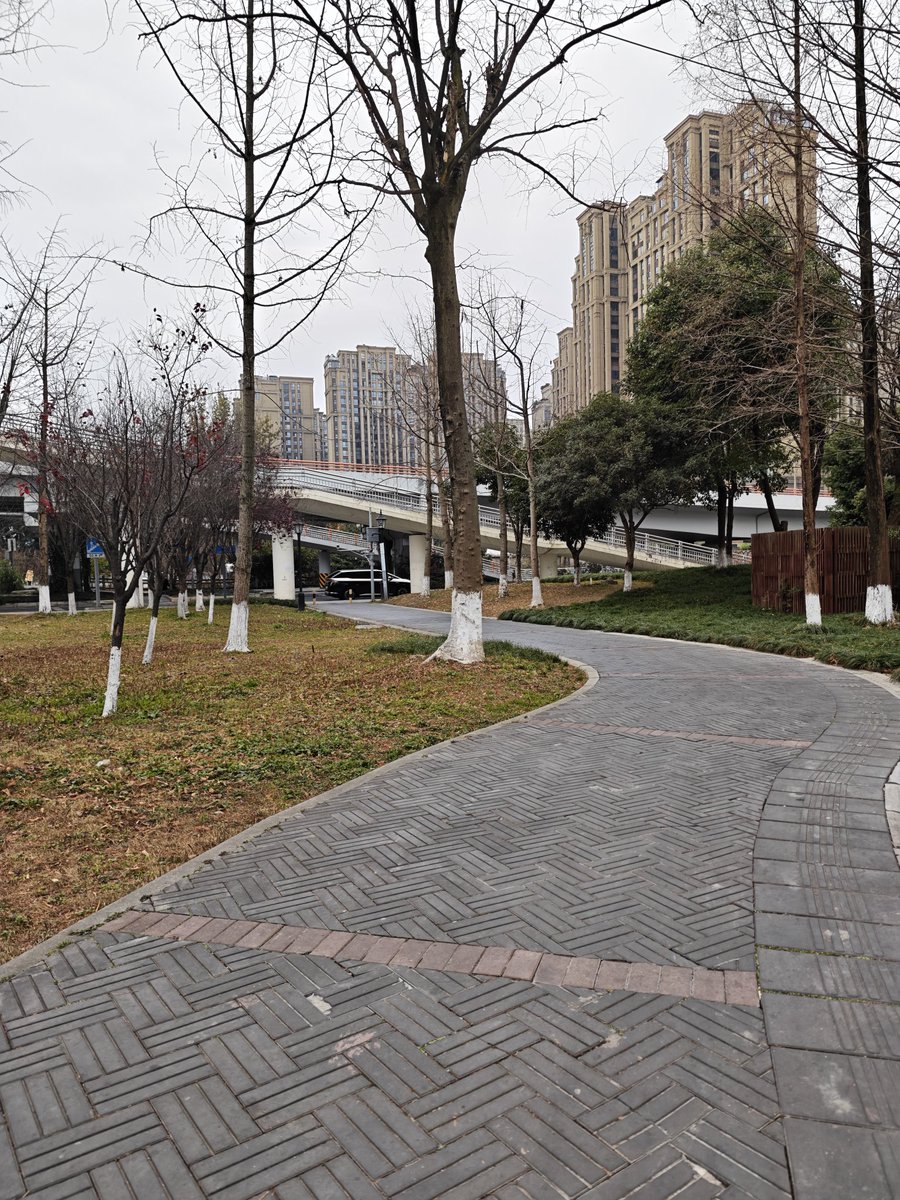 028xxxcici tweet media