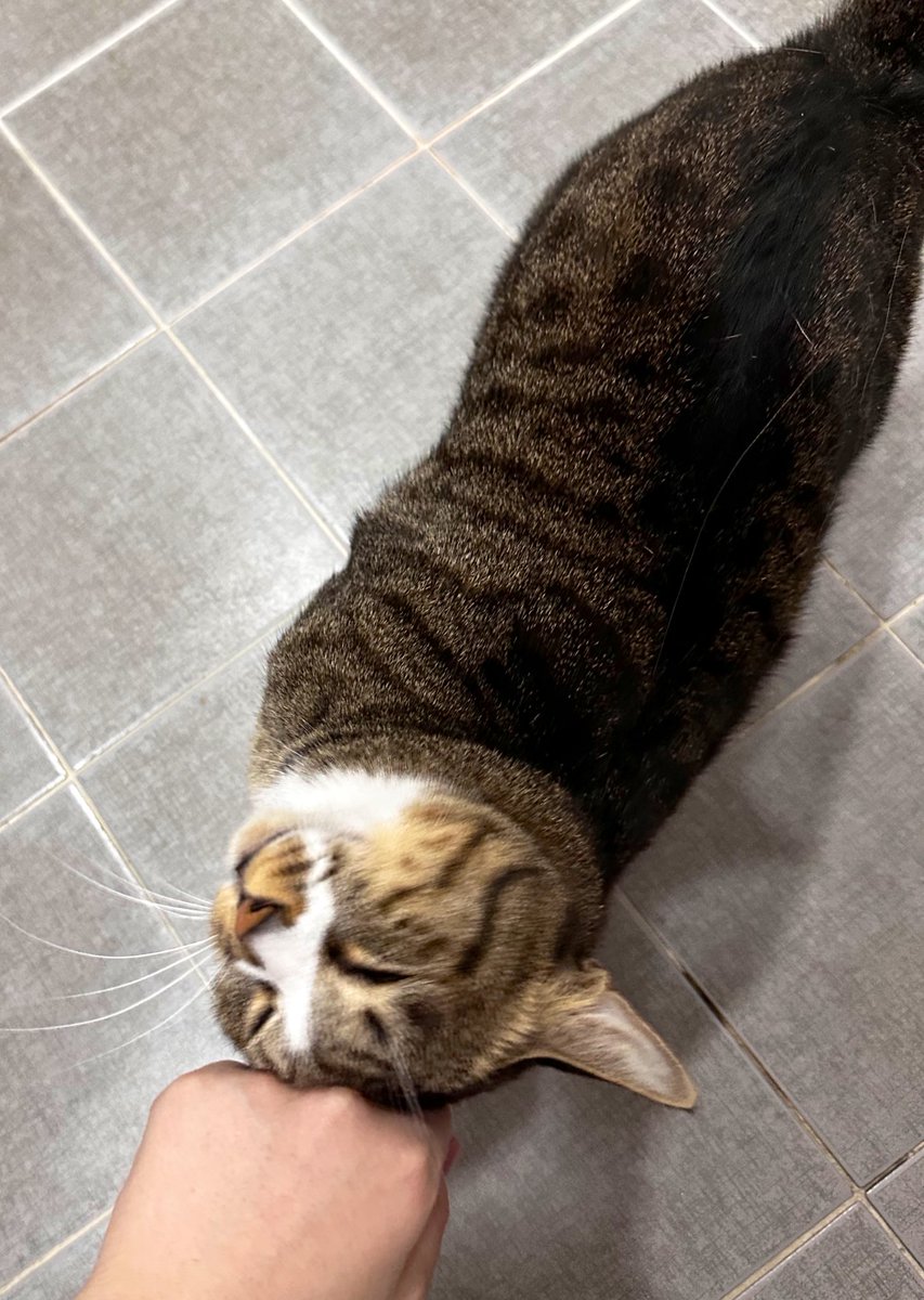 이게 헤드번팅인지 박치기인지