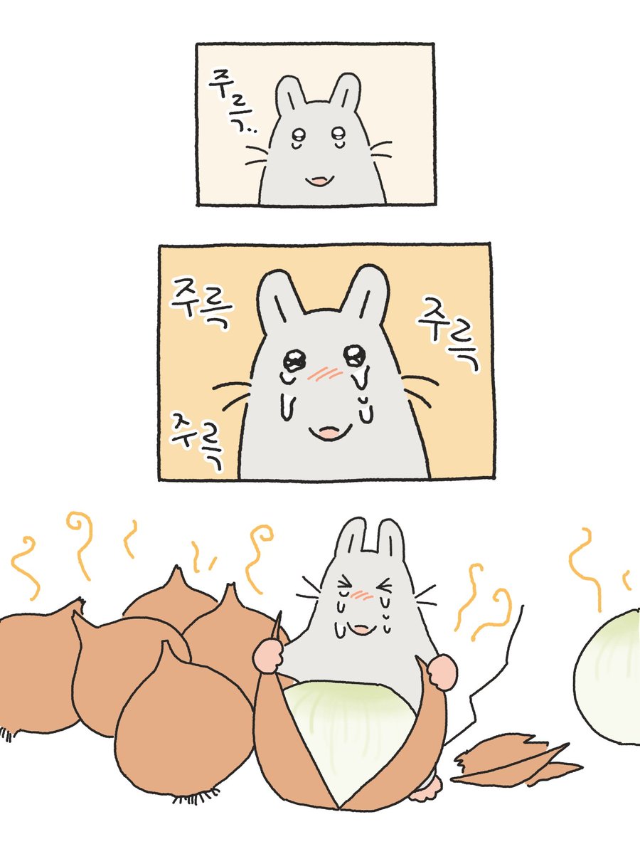 설치류를설치하기 tweet media