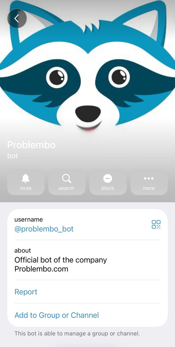 Problembo_srv's tweet photo. We’ve launched a Telegram bot! Try it out @problembo_bot https://t.co/Um92mnc4Wr