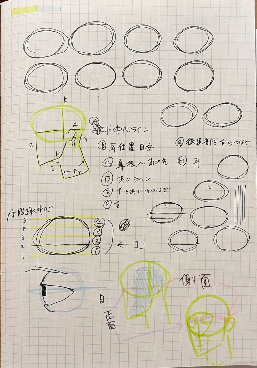 #顔描け本　始めました✌️