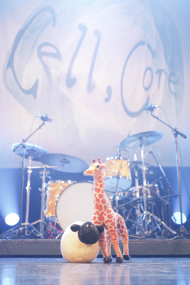 regal__kirin's tweet photo. ひつじちゃんと会えた🦒
今日はcell,coreよろしく https://t.co/UuW2up8yRQ