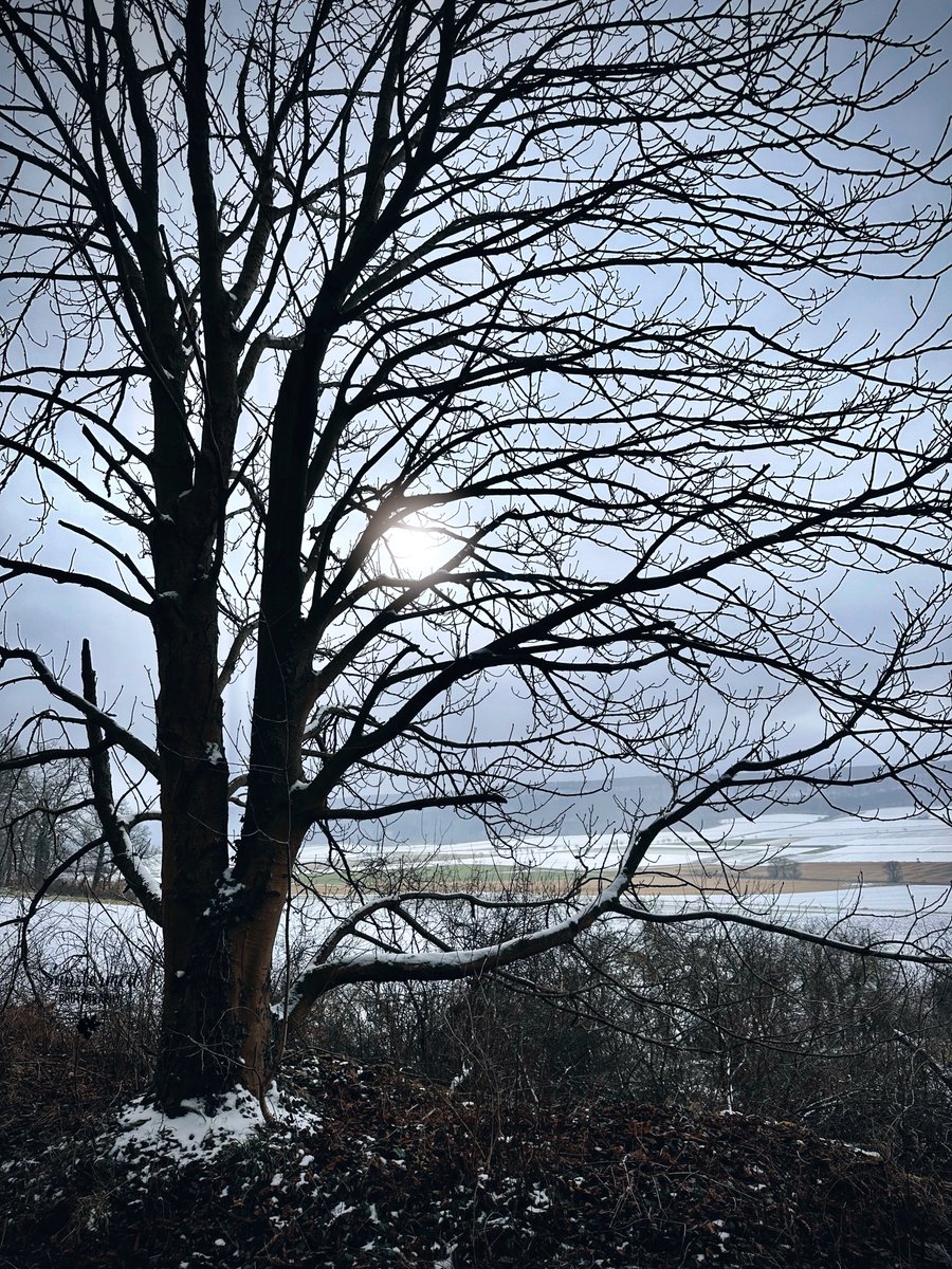 Sunstormed's tweet image. Good morning from Germany