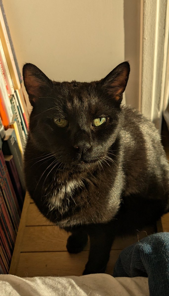 Stéphanie Migniot tweet media