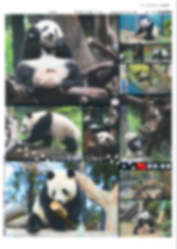 日刊スポーツ (@nikkansports) / Posts / X