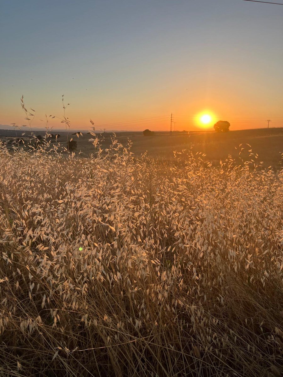 Embassy of Spain UK tweet media