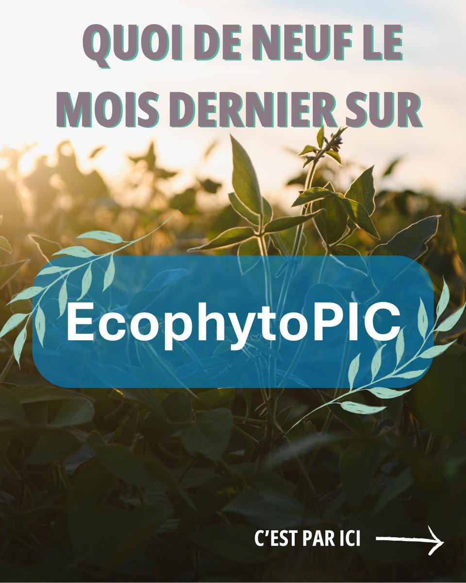 EcophytoPIC tweet media
