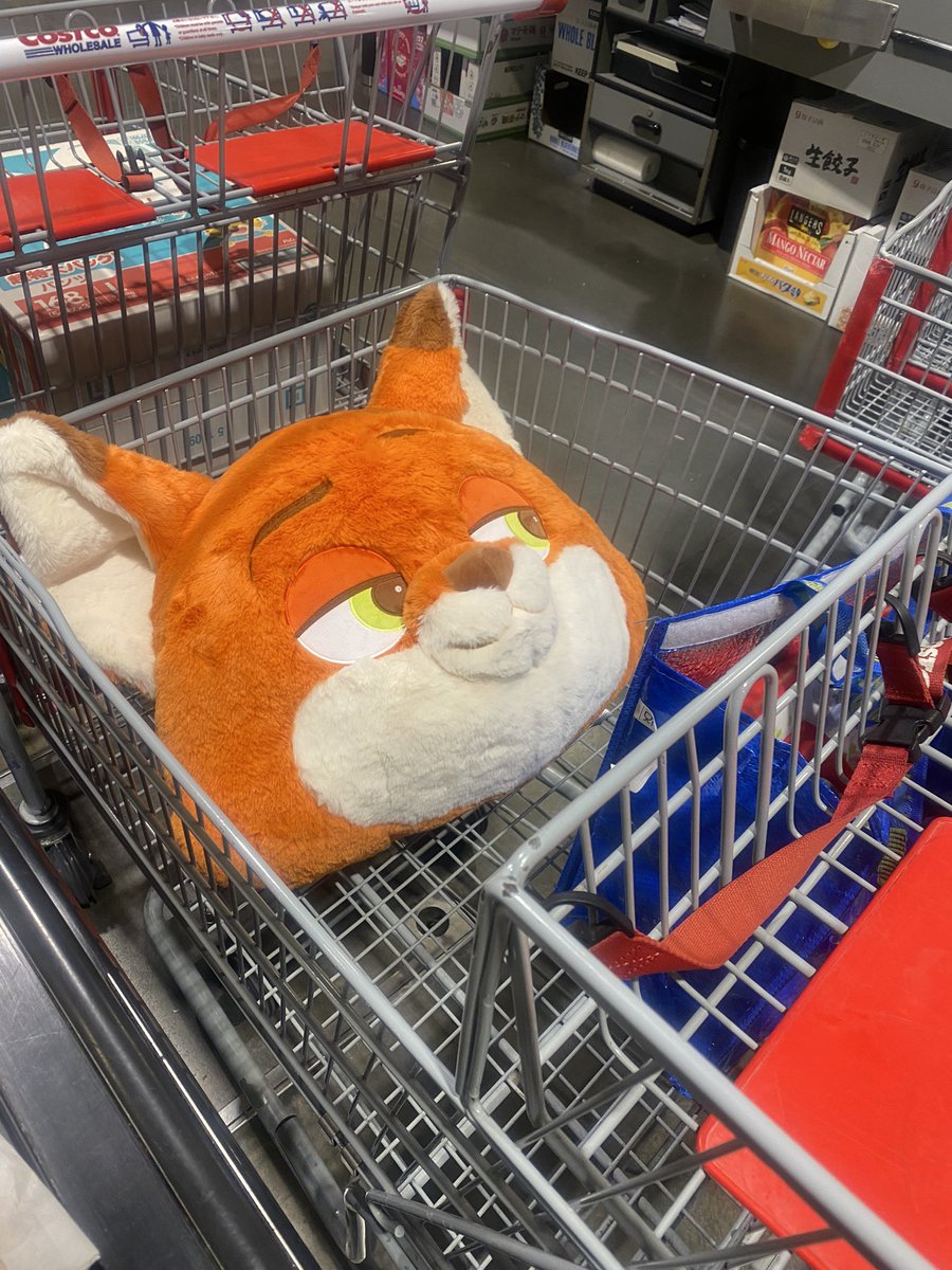 fantasia_0813y's tweet photo. 買っちゃった🤣
やっぱりニックでしょ🧡
うん!可愛い🥕#costoco https://t.co/SbW82mWqQa