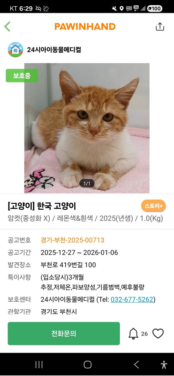 보광동냥이들 임보처구함 동물알티계 (@private_hongcha) on Twitter photo 